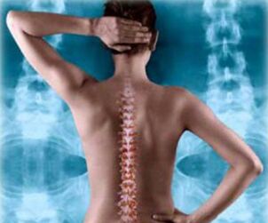 Ilustración de la columna vertebral