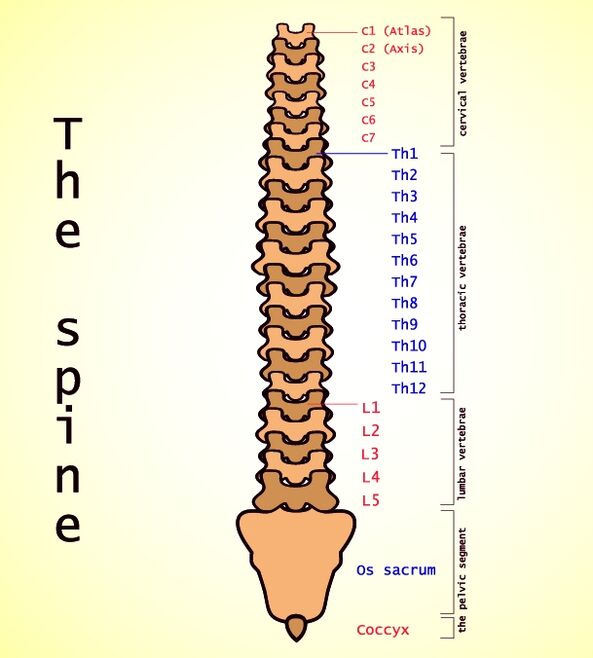 Osteocondrosis lumbar